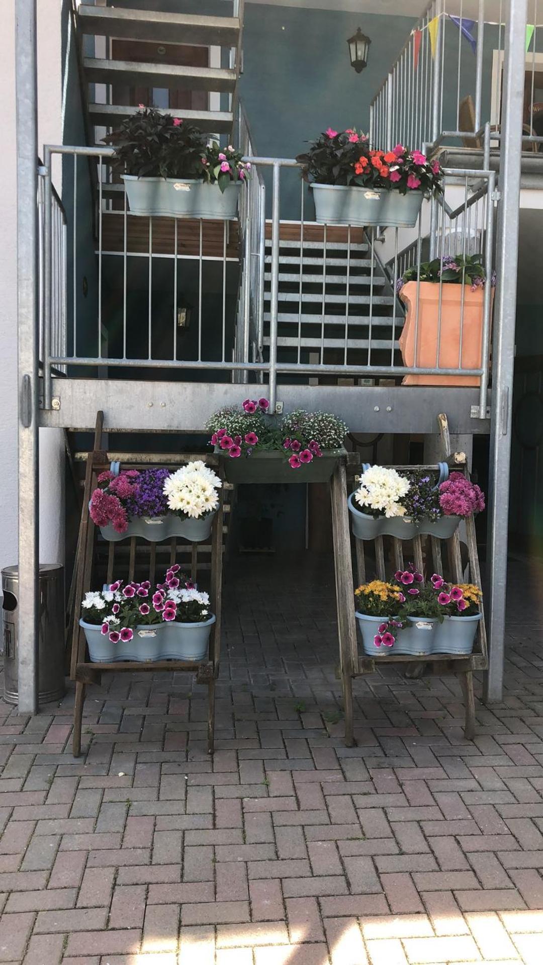 Rheinliebe Bistro Und Pension Lorch am Rhein Zewnętrze zdjęcie